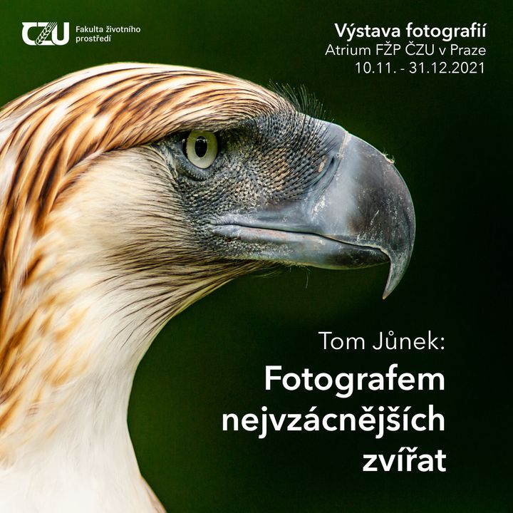 Uvádíme výstavu velkoformátových portrétů nejohroženějších zvířat naší planety. Autor Tom Junek Photography z katedry ekologie v…