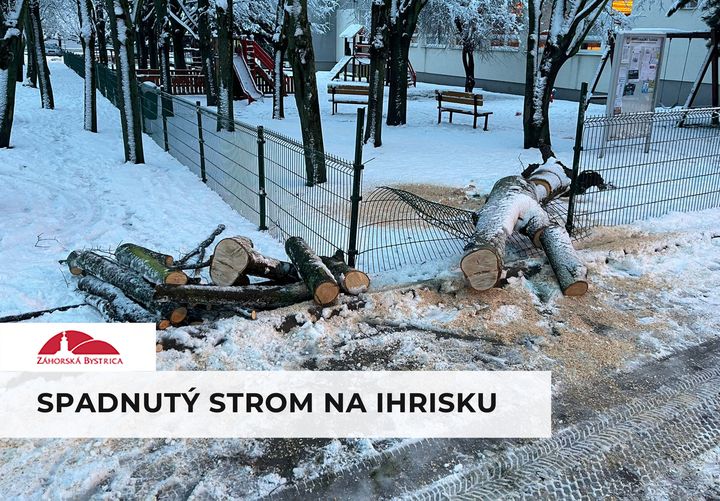 V noci pod ťarchou ťažkého snehu spadol jeden zo stromov ❄🌳 pri vchode na detské ihrisko pri úrade. Spadnutý strom sme už odstrá…