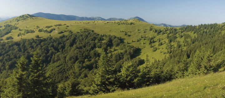 Zdravé a fungujúce národné parky a tiež odolné lesné ekosystémy zohrávajú dôležitú osobitnú úlohu v čase klimatickej krízy. Na t…