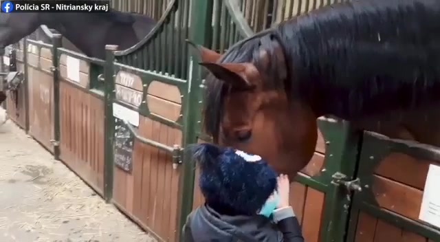 🎄VIANOČNÝCH PRIANÍ BOLO NEÚREKOM,TU JE JEDNO Z NICH…👮🐴❤️👧

Teší nás,ak sa vzťah detí k zvieratám buduje od malička, pretože ,,…