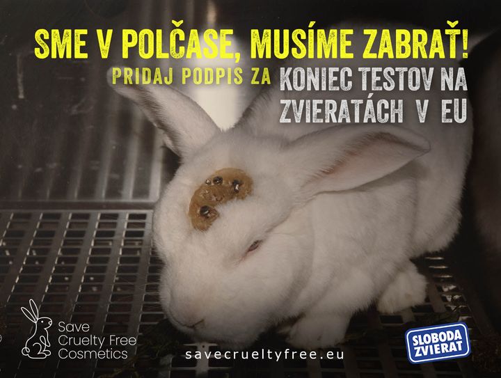 ☝️V európskych laboratóriách trpí každý rok 10 miliónov králikov a hlodavcov, vtákov, hospodárskych zvierat, psov, mačiek aj pri…