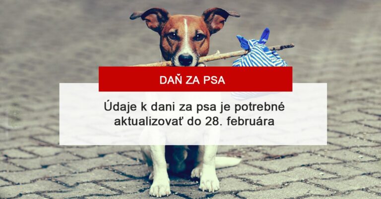 Údaje k dani za psa je potrebné aktualizovať do 28.2. – Záhorská Bystrica