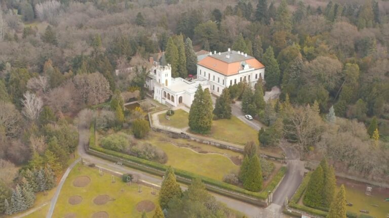 🌳 Arborétum Mlyňany s rozlohou 67 hektárov sa pýši najväčšou zbierkou vždyzelených cudzokrajných drevín na Slovensku, ktorá má o…