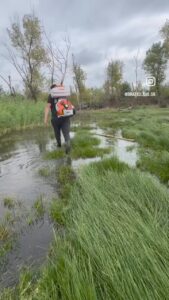 🦟 Kvôli povodniam zasahujeme proti komárom