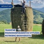 🌿Naši botanici skúmali biodiverzitu lúk v Maramureș a Bukovine, kde sa stále uplatňujú tradičné poľnohospodárske postupy